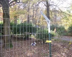 The streets are a dangerous place for an unattended pet, so you've decided it's time to learn how to stop a dog from climbing a fence. Help With Escaping Basenji Basenji Forums Your Online Basenji Community
