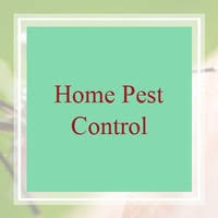 Check spelling or type a new query. 11 Best Pest Control Companies In Myrtle Beach Sc Exterminators