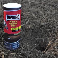 Jun 15, 2021 · amdro gopher gasser outdoor gopher remover in 12/6 pk., 100525532 is rated 4.4 out of 5 by 247. Amdro Mole Gopher Bait 1lb Kills Moles Gophers Walmart Com Walmart Com