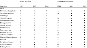 Image result for Rhaptopetalum