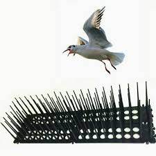 Different types of cat repellents. Buy Daiso Bird Repellent Bird Net Seetracker Malaysia