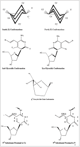 Open Access Medical Journal Medical Journals Molecular Biological Activity