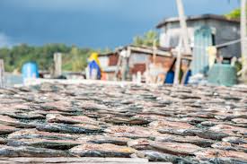 Tun mustapha marine park is a marine park located off the north coast of the state of sabah, malaysia. Tun Mustapha Malaysia S Conservation Experiment The Diplomat