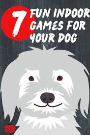 Seven Fun Games To Play With Your Dog Indoors Good Doggies Online Dog Games Good Doggies Online Your Dog