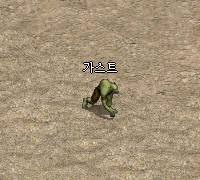 가스트
