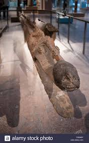 Image result for arte dell'oceania