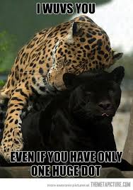 I Still Love You Cute Animals Funny Animal Memes Funny Animals