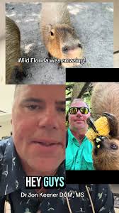 Exploring Wild Florida: Sloths, Capybaras, and More