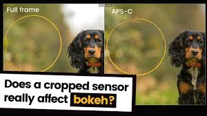 Measured diagonally, the screen size is 162.1mm (6.4) in the full rectangle and 158.7mm (6.2) with accounting for the rounded corners. Cropped Sensor V Full Frame Cameras That Photography Spot