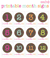 Printable Month Signs For Baby Pictures Mom Wife Baby Month Stickers Baby Printables Baby Stickers