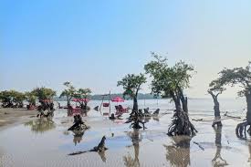 Kuakata sees growing tourist influx