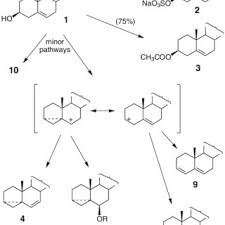 Products From Liebermann Burchard Lb Reactions Quenched At The Blue Download Scientific Diagram