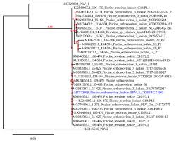 Pathogens Free Full Text Health Surveillance Of Wild Brown Trout Salmo Trutta Fario In The Czech Republic Revealed A Coexistence Of Proliferative Kidney Disease And Piscine Orthoreovirus 3 Infection Html