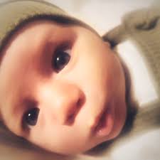 Foster Care: An Unparalleled Journey