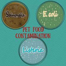 Pet Food Contamination Salmonella E Coli And Listeria Food Animals Salmonella Food