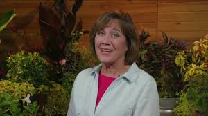 Attracting birds to your garden is easy: Attracting Toads To Your Garden Youtube