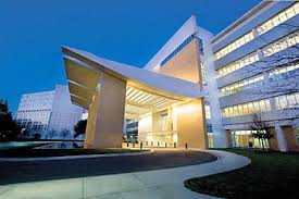 Mayo Clinic Hospital Jacksonville Fl Mayo Clinic Clinic Hospital Design