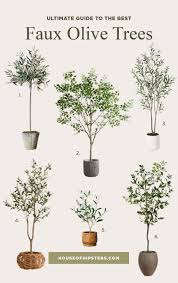 18 Best Faux Olive Trees (Interior Designers Love) | House Of Hipsters
