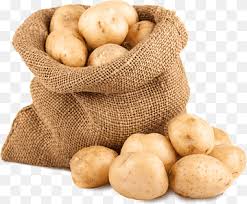 Check spelling or type a new query. Leaf Vegetable Organic Food Potato Onion Fruit Vegetable Leaf Vegetable Food Chili Pepper Png Pngwing