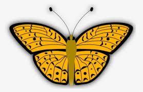 Gambar sketsa kupu kupu : Sketsa Gambar Kupu Kupu Butterfly Drawing Line Art Hd Png Download Transparent Png Image Pngitem