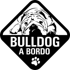Vinilo Decorativo Bulldog A Bordo Tenvinilo Bulldog Perros Bulldog Ingles Perros Bulldog