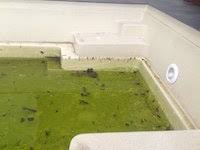 How to open a pool after winter. Opening The Pool After Winter When And How Compass Pools