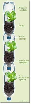 Simple vertical garden kits and how to make your own vertical garden. Vertical Gardens Plants Vertical Garden Growing Lettuce