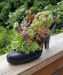 (unless you're a green diva … Shoe Planters Recycled Footwear Makes Great Boot Planters Updated Plants Succulents Succulent Planter