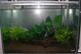 Aquaticquotient Com