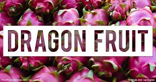 What Is Dragon Fruit Good For Mercola Com