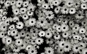 Unsplash has an amazing collection of tumblr wallpapers that toe the line just right. Wallpaper Hd Laptop Tumblr