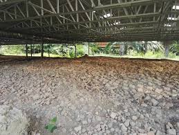 Senibina binaan masa lampau walaupun dari segi rekaannya agak terhad, mempunyai struktur yang mempunyai daya ketahanan yang sangat tinggi. Bc Sebelum Sungai Batu Tamadun Terawal Asia Tenggara Facebook