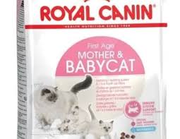 Daftar makanan kucing persia yang baik dan bagus agar cepat gemuk kami jelaskan disini. Merk Makanan Kucing Terbaik 2020 Dengan Nutrisi Yang Baik Untuk Pertumbuhan Kucing Menjaga Bulu Kucing Tetap Bagus Tidak R Makanan Kucing Kucing Kucing Persia