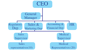 Organization Chart Pharma Share Sarl