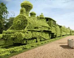 Yeongdo Kim Mobile Uploads Facebook Formschnitt Garten Gartenkunst Botanischer Garten