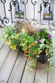 Ensuite, en ville, si chaque citadin possède une jardinière (ce qui représente 10 millions de jardinières rien qu'en en ile de france), cela entraine la multiplication d'une faune qui va se. Composer Une Jardiniere De Fleurs Sur Son Balcon Cote Maison