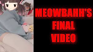 Meowbahh's Final Video with Technoblade... - YouTube
