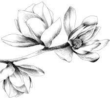 Valerie Pierre-Louis and Ronald Domond's Wedding Website