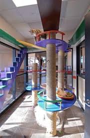 Remove the doors and add padding and upholstery fabric to the table's interior. 48 Cat Room Designs Ideas Cat Room Cat Furniture Cat Diy