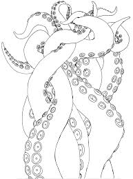Cephalopodia Corvus Tristis Science Craft And An Odd Bird This article will show you some techniques in drawing both a realistic and a cartoon octopus. cephalopodia corvus tristis science