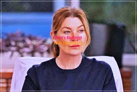 Ellen Pompeo and the Ellis Twins: A Family On and Off Screen”🩺 For nearly  two decades, Ellen Pompeo has carried the heart of Grey's Anatomy as  Meredith Grey, a surgeon, a friend,