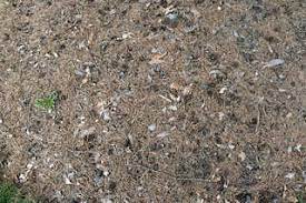 We did not find results for: Free Forest Floor Terrain Textures In High Resolution Texturemax