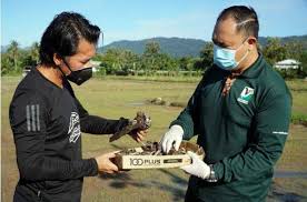 Disini saya ada kongsikan rujukan ujian psikometrik spa 9 jawatan bulan ogos 2019, contoh soalan ujian psikometrik 2019, ujian psikometrik penolong pegawai sains gred c29. Puluhan Burung Ciak Rumah Mati
