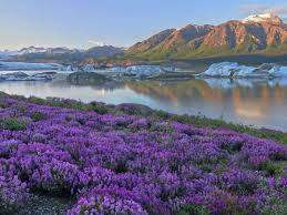 Maybe you would like to learn more about one of these? Wrangell St Elias National Park Alaska Vacations