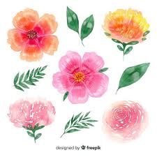 Download Colorful Blooming Flowers With Leaves Background For Free In 2020 Leaf Background Blooming Flowers Vector Free