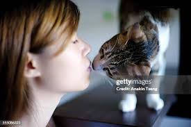 7,512 Tseng Stock Photos, High-Res Pictures, and Images