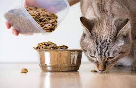 Currently lexie's love only works within missouri. Arf Pet Food Assistance
