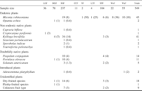 Image result for Kyllinga robinsoniana