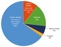 Causes Of Climate Change And Sea Level Rise Coastadapt