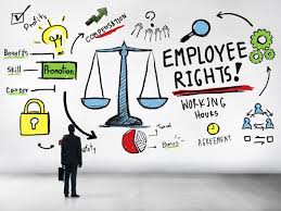 We did not find results for: Overtime Calculation In Qatar According To Labour Law Close Career